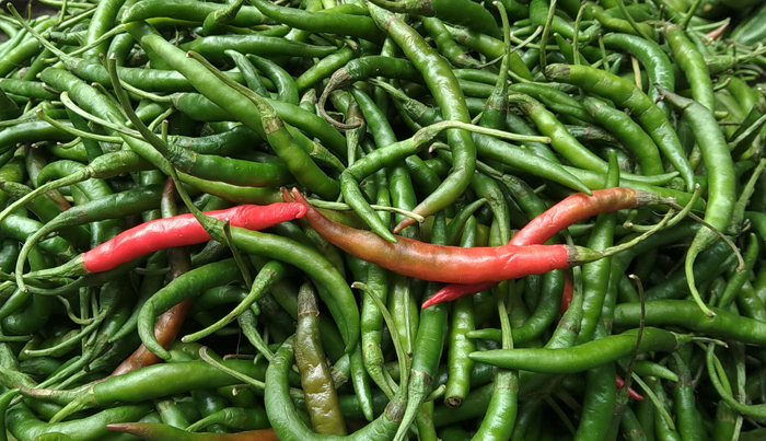 কাঁচা মরিচের কেজি সাড়ে ৩০০ টাকা